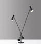 Bond Two Light Floor Lamp (AD9115-01)