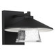 Silo LED Wall Sconce (20060LEDDMG-BL/SDG)