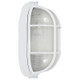 Nauticus Dual Mount One Light Bulkhead (20292-WH/FST)