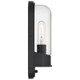 Magnolia One Light Outdoor Wall Mount (20320MG-BL/CLR)