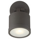 Zone Dual Mount LED SpotLight (20341LEDDMGLP-BRZ/FST)