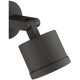 Zone Dual Mount LED SpotLight (20341LEDDMGLP-BRZ/FST)