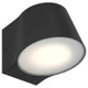 Ry LED Outdoor Wall Mount (20390LEDDMG-BL/FST)