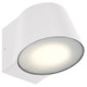 Ry LED Outdoor Wall Mount (20390LEDDMG-WH/FST)