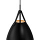 Tanner One Light Pendant (23793-MBL)