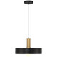 Slate One Light Pendant (23798-BWA)