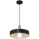 Slate One Light Pendant (23798-BWA)