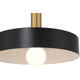 Slate One Light Pendant (23798-BWA)