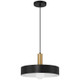 Slate One Light Pendant (23798-BWA)