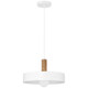 Slate One Light Pendant (23798-WH/WGN)
