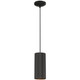 Access - 29001LEDDLP-MBL-C - LED Pendant - Pilson - Matte Black
