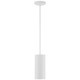 Pilson LED Pendant (29001LEDDLP-MWH)