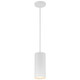 Pilson LED Pendant (29001LEDDLP-MWH)