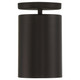 Pint LED Semi Flush Mount (29004LEDDMGLP-MBL)