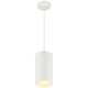 Pilson XL LED Pendant (29007LEDDLP-MWH-C)