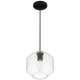 Clarity LED Pendant (29011LEDDLP-BL/CLR)