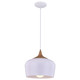 Blend LED Pendant (52057LEDDLP-WH/WGN)