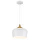 Blend LED Pendant (52057LEDDLP-WH/WGN)