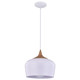 Blend LED Pendant (52057LEDDLP-WH/WGN)