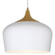 Blend LED Pendant (52057LEDDLP-WH/WGN)