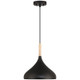 Olivia One Light Pendant (52086-BL/WGN)