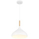 Olivia One Light Pendant (52086-WH/WGN)