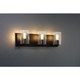 Oslo LED Vanity Fixture (62582LEDDLP-MBL/CLR)