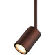Cafe Dual Mount LED Wall Or Ceiling Spotlight (72010LEDDLP-BRZ)