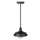 Burry One Light Pendant (1736BK)