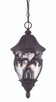 Acclaim Lighting - 39216BC - Three Light Hanging Lantern - Capri - Black Coral