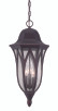 Acclaim Lighting - 39826ABZ - Three Light Hanging Lantern - Milano - Architectural Bronze