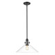 Acclaim Lighting - IN20080BK - One Light Pendant - Dwyer - Matte Black
