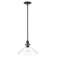 Dwyer One Light Pendant (IN20080BK)