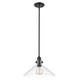 Dwyer One Light Pendant (IN20080BK)