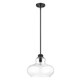 Torrel One Light Pendant (IN21251BK)