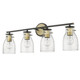 Shelby Four Light Vanity (IN40006ORB)