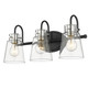 Bristow Three Light Vanity (IN40092BK)