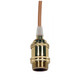 Satco - 80-2459 - Lampholder - Polished Brass / Glass