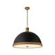 manufacturer_finish:Matte Black/Vintage Brass manufacturer_finish:Matte Black/Vintage Brass