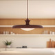 manufacturer_finish:Burgundy|manufacturer_glass:Matte Opal Glass