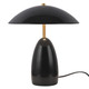 manufacturer_finish:Glossy Black|manufacturer_glass:Unspecified