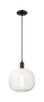 Innovations - 716-1P-BK-G481-10OP - One Light Mini Pendant - Arcadia - Matte Black