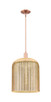 Innovations - 716-1S-AC-G559-12ME - One Light Pendant - Arcadia - Antique Copper Innovations - 716-1S-AC-G559-12ME - One Light Pendant - Arcadia - Antique Copper