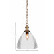 Carina One Light Pendant (96-NAB-4630)