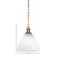 Carina One Light Pendant (96-NAB-4631)