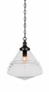 Toltec Lighting - 98-MB-4730 - One Light Pendant - Juno - Matte Black