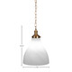 Juno One Light Pendant (99-NAB-4721)