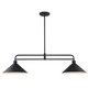 Trans Globe Imports - 11763 BK - Two Light Linear Pendant - Roscoe - Black