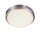 Trans Globe Imports - 13880 BN - Two Light Flushmount - Bliss - Brushed Nickel