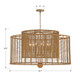 Jayna 12 Light Chandelier (JAY-A5009-BS)